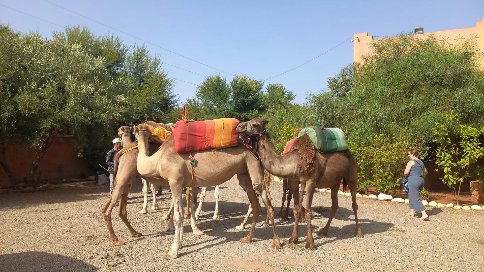 فندق Relais Ourika مراكش 0*,  المغرب